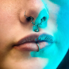 Labret Piercing | Surgical Steel Segment Ring
