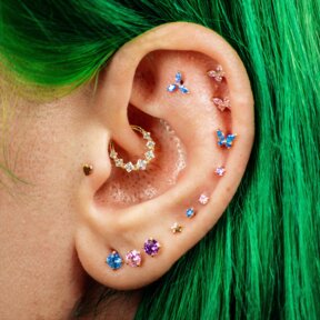 Curated Ear Set Up