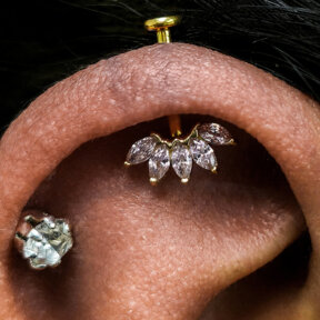 Vertical Helix Piercing | 14k Gold Threadless Top