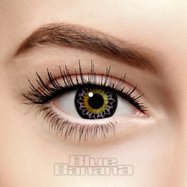 Pink Butterfly Coloured Contact Lenses (30 Day) | Coloured Contacts