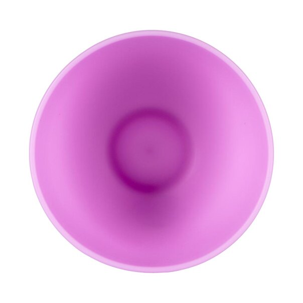 Blue Banana Hair Dye Tint Bowl (Purple) | Hair Dye Accessories