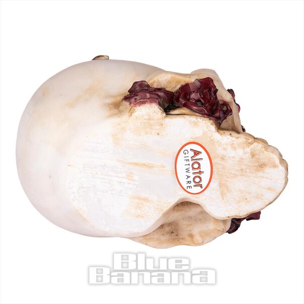 Nemesis Now Llama Rosa Adorno De Calavera (Blanco/Rojo) | Blue Banana