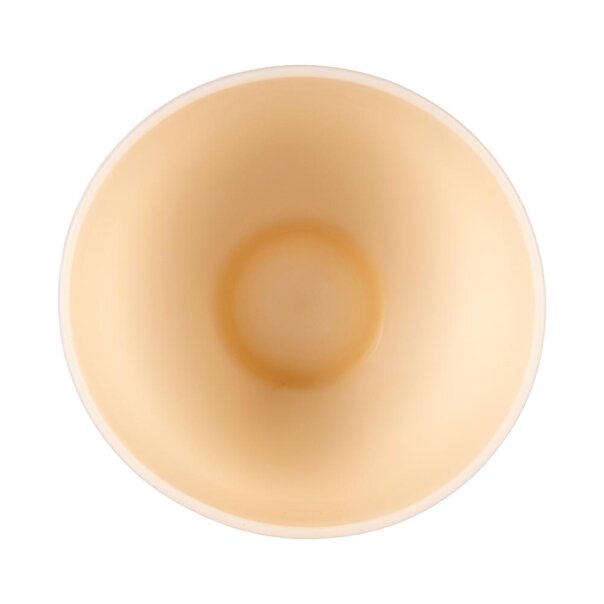 Blue Banana Hair Dye Tint Bowl (Apricot) | Hair Dye Accessories