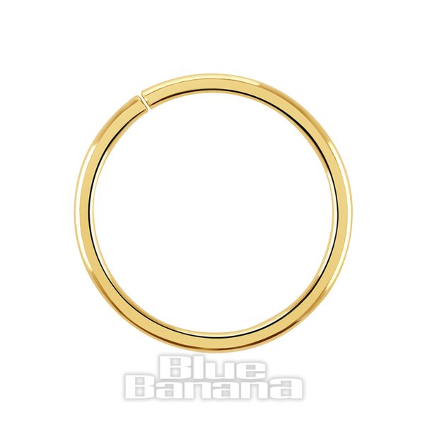 Blue Banana 14K Gold 8Mm Nahtloser Ring (Gold) | Blue Banana