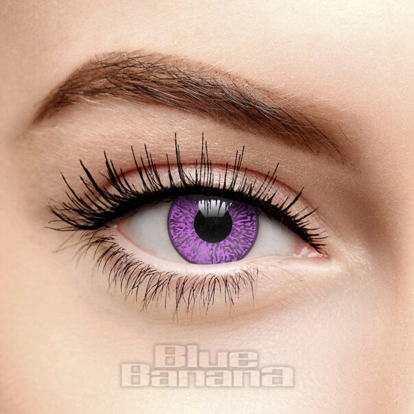 Lila-violette Mystic Zweifarbige Kontaktlinsen (30 Tage) | Coloured Contacts