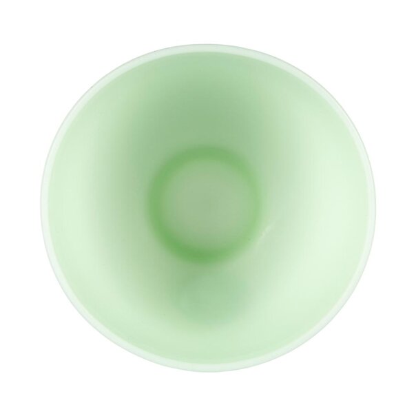 Blue Banana Hair Dye Tint Bowl (Green) | Hair Dye Accessories