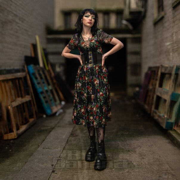 Jawbreaker Mesh-Totenkopf Und Rosen Midikleid (Mehrfarbig) | Blue Banana