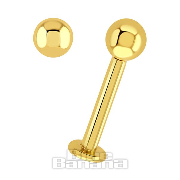 Labret al plasma Blue Banana dorato 1,6mm | Gioielli penetranti