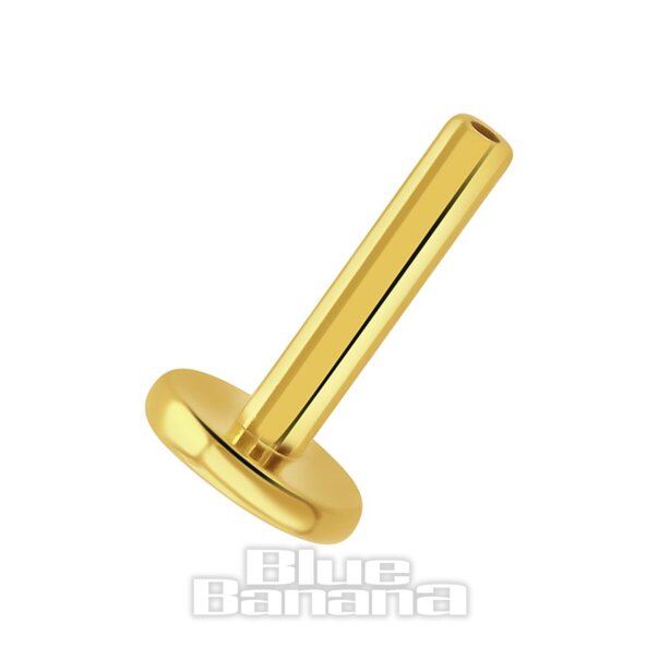 Blue Banana Plasma Gold 1,2×6 Mm Base Labret Senza Filettatura (Oro)| Body Piercing Jewellery