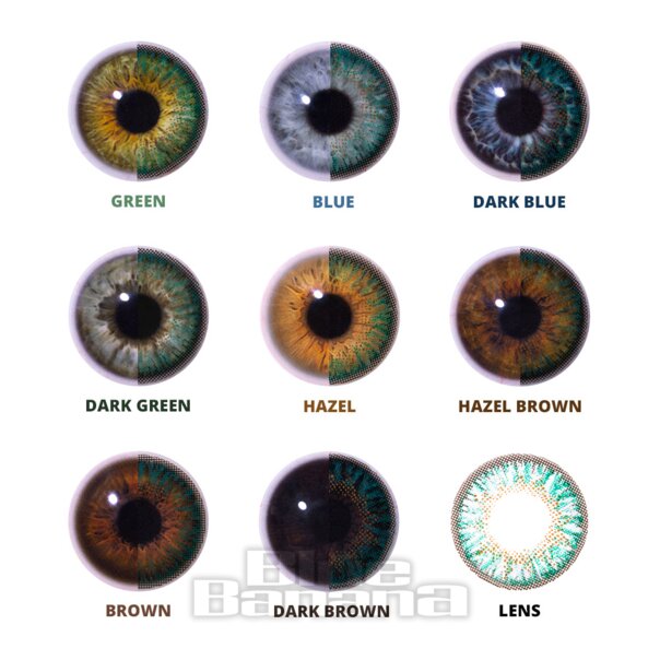 Emerald Blend 1-Tages-Kontaktlinsen mit Sehstärke, Blau, 10er-Pack Linsen