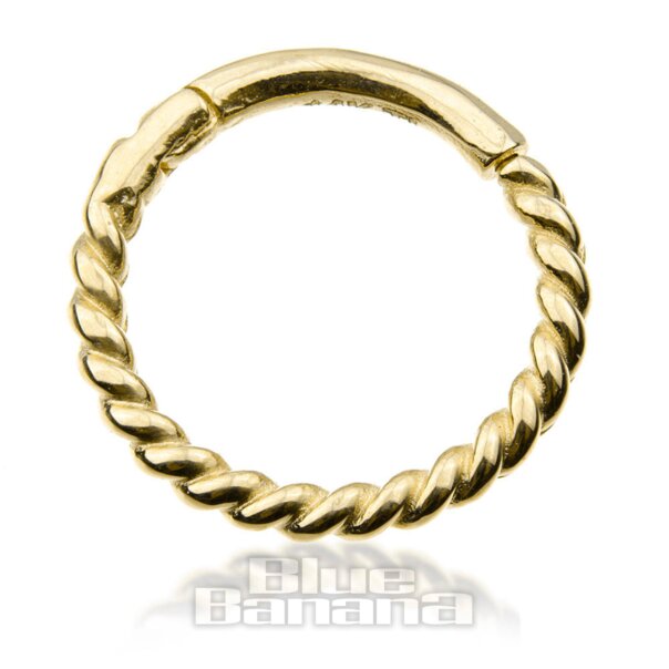 Blue Banana Rope 9 ct Gold 1.0 x 8mm Hinged Segment Ring (Gold)