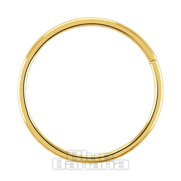 Blue Banana 14K Gold 10 Mm Anello Senza Soluzione Di Continuità (Oro) | Blue Banana