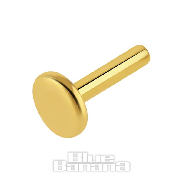 Blue Banana Plasma Gold 1,2×6 Mm Base Labret Senza Filettatura (Oro)| Body Piercing Jewellery