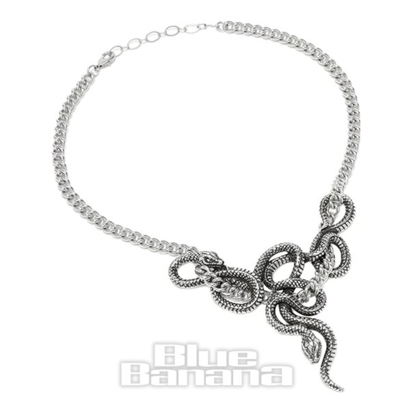 Killstar Midnight Venom Necklace (Silver) | Killstar Accessories