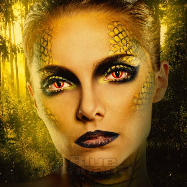 Dragon Eye 30 Tage farbige Kontaktlinsen, Coloured Contacts UK