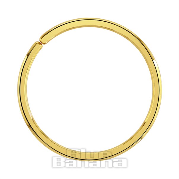 Blue Banana Oro 14K 10mm Anello Senza Soluzione Di Continuità (Oro) | Blue Banana