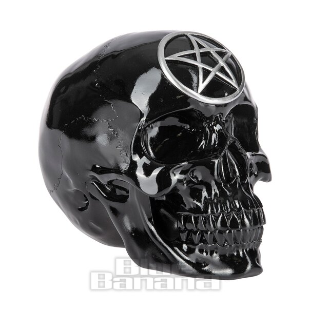 Nemesis Now Black Magic Skull Ornament (19.5 CM)