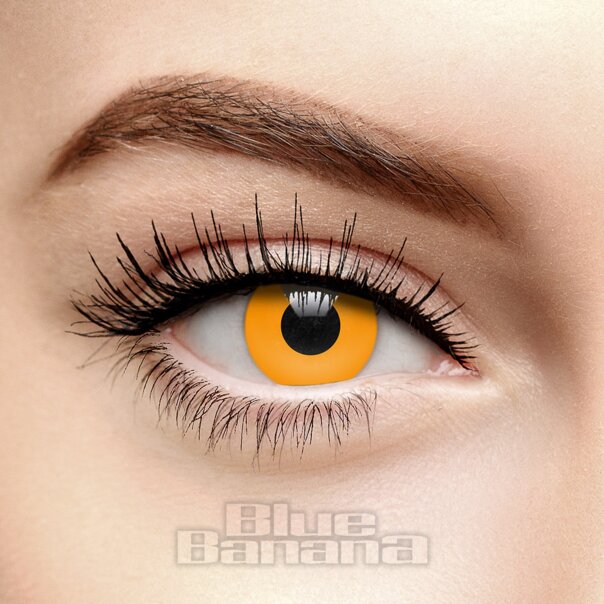 Orange Pumpkin Coloured Contact Lenses (30 Day) | Coloured Contacts