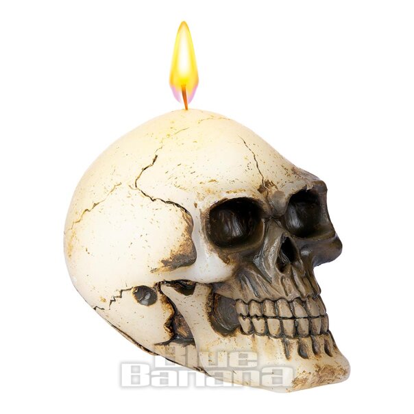 Blue Banana Unscented Skull Candle (White) | Blue Banana