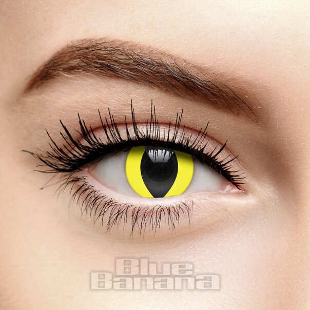 Gelbe Katzenaugen-Kontaktlinsen für 30 Tage, Coloured Contacts UK