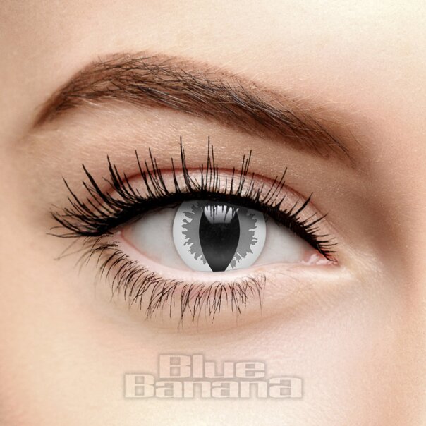 Mist Dragon Grey 30 Tage Farbige Kontaktlinsen, Schlangenaugen