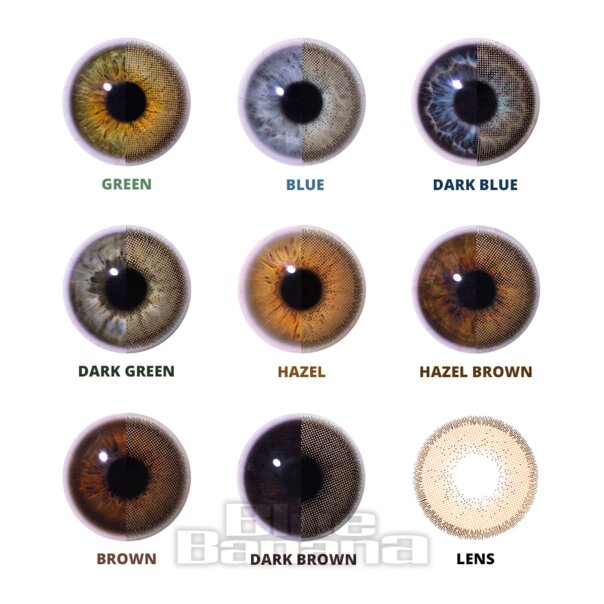 Honey Glaze Hazel Brown Coloured Contact Lenses | Natural Lens