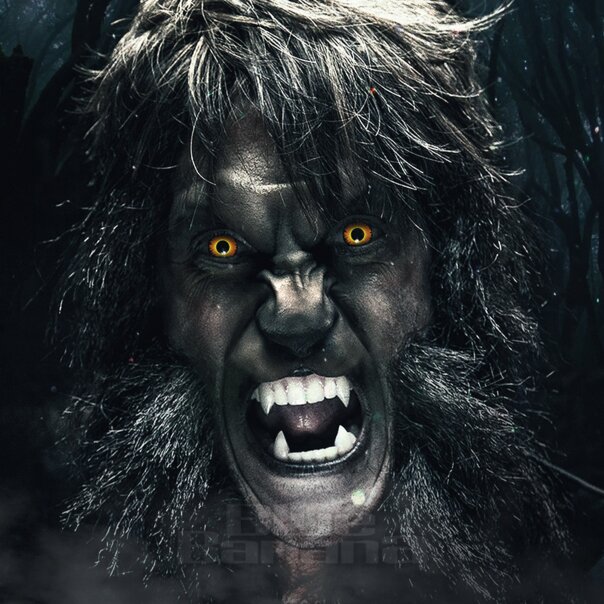 Lenti a contatto colorate arancioni da 30 giorni Werewolf, lenti a contatto colorate UK