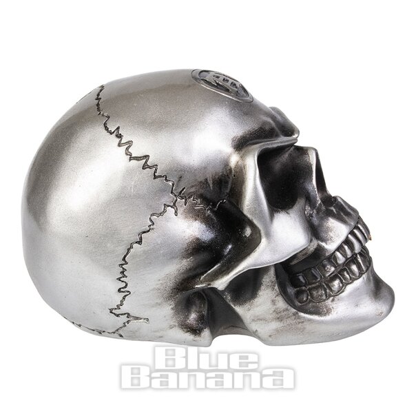 Alchemy Gothic Alchemist Skull