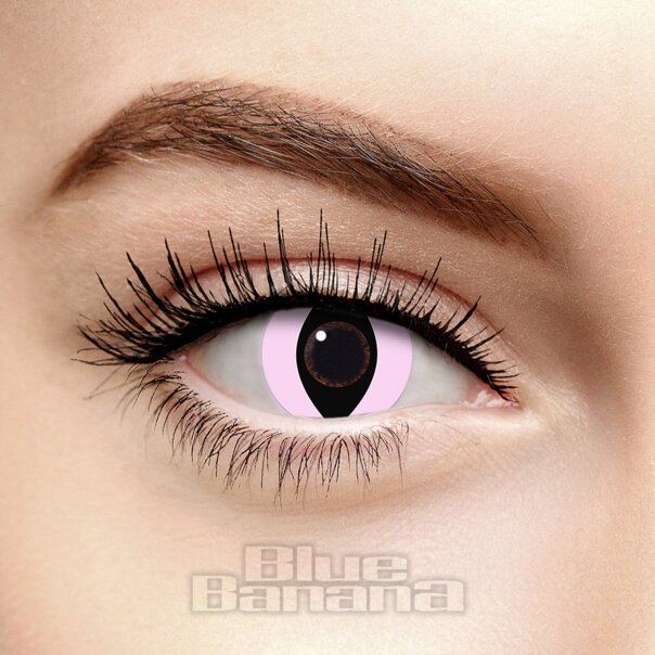 Lentes de contacto de color Pink Cat (30 días) | Lentes de contacto de color