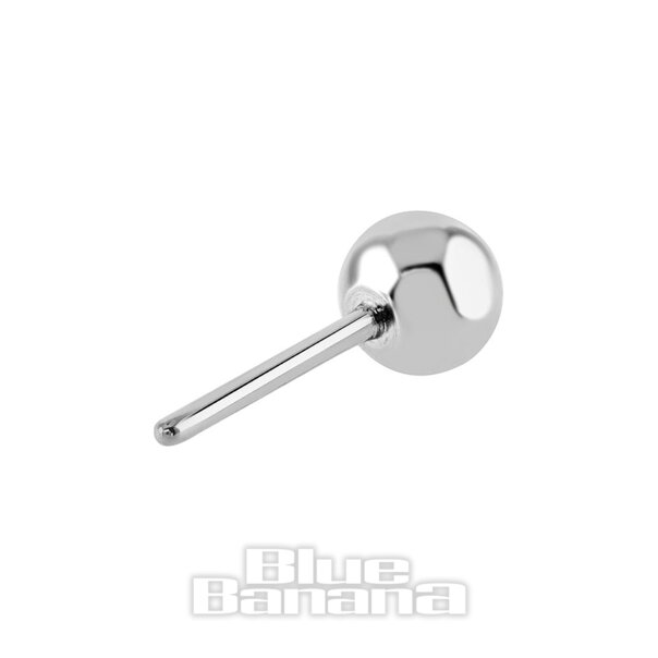 Blue Banana Poliertes Titan 2 Mm Einfache Kugel Fadenloses Oberteil (Silber)| Body Piercing Jewellery