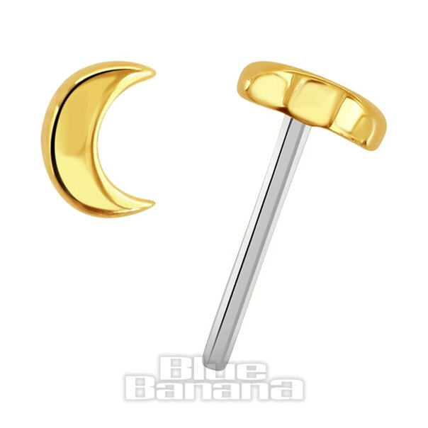 Blue Banana 14K Gold 4mm Mond Fadenloses Oberteil (Gold) | Blue Banana