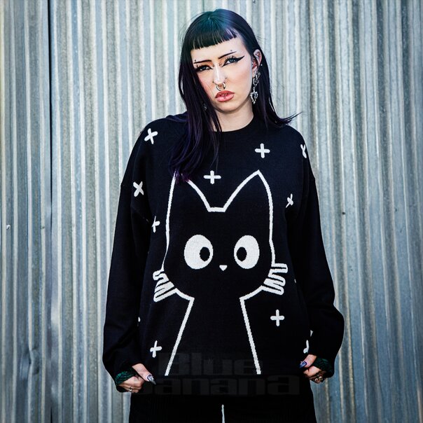 Banned Lumi Cat Jumper (Black) | Blue Banana