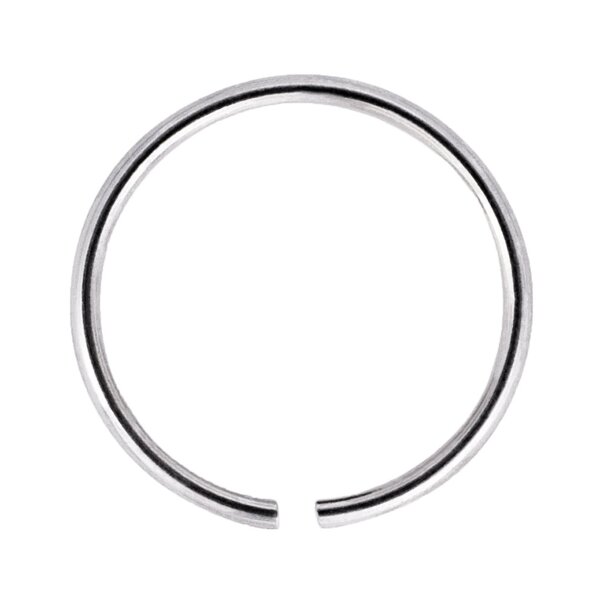 Blue Banana Silver Seamless Nose Ring, Piercing Jewellery