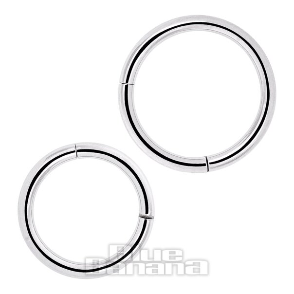 Surgical Steel 1.2mm Hinged Segment Ring (Silver)