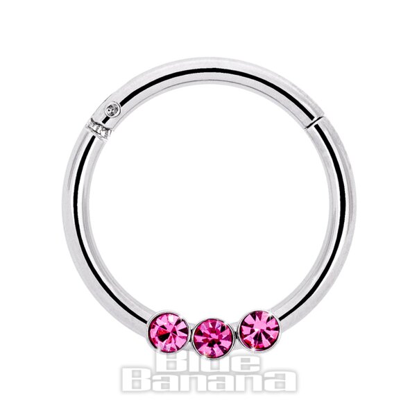 Blue Banana Surgical Steel 1.2mm Stones Hinged Segment Ring (Rose)