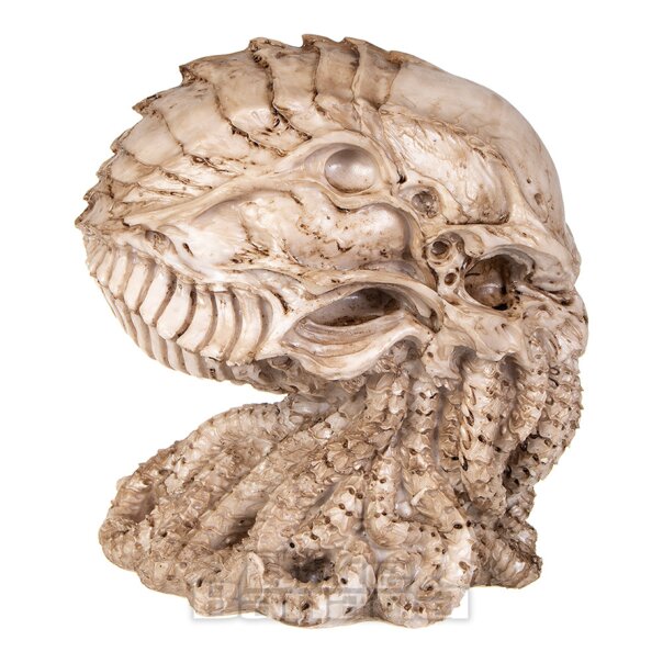 Nemesis Now Cthulhu Skull Figurine | Fantasy Gothic Ornament