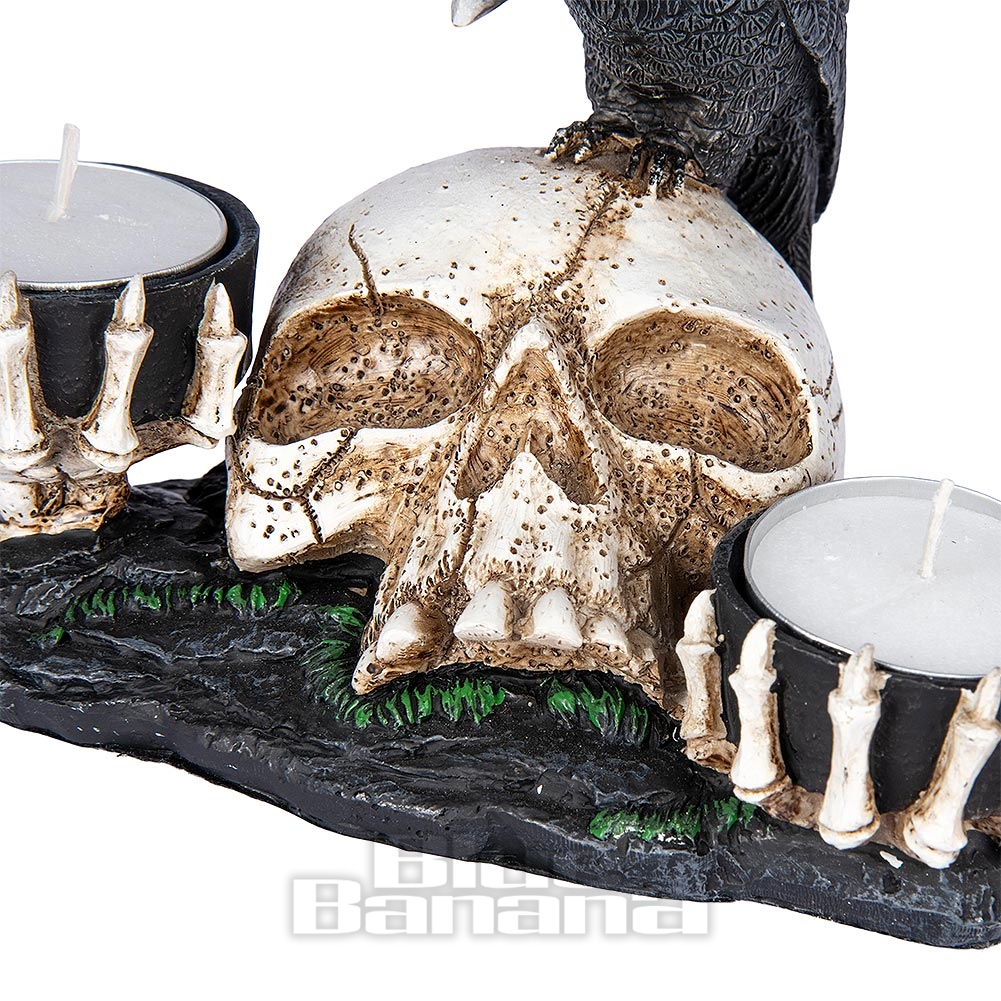 GEEN RESERVE PRIJS - Skull Art - Volledig gesneden grijze Ram's Skull