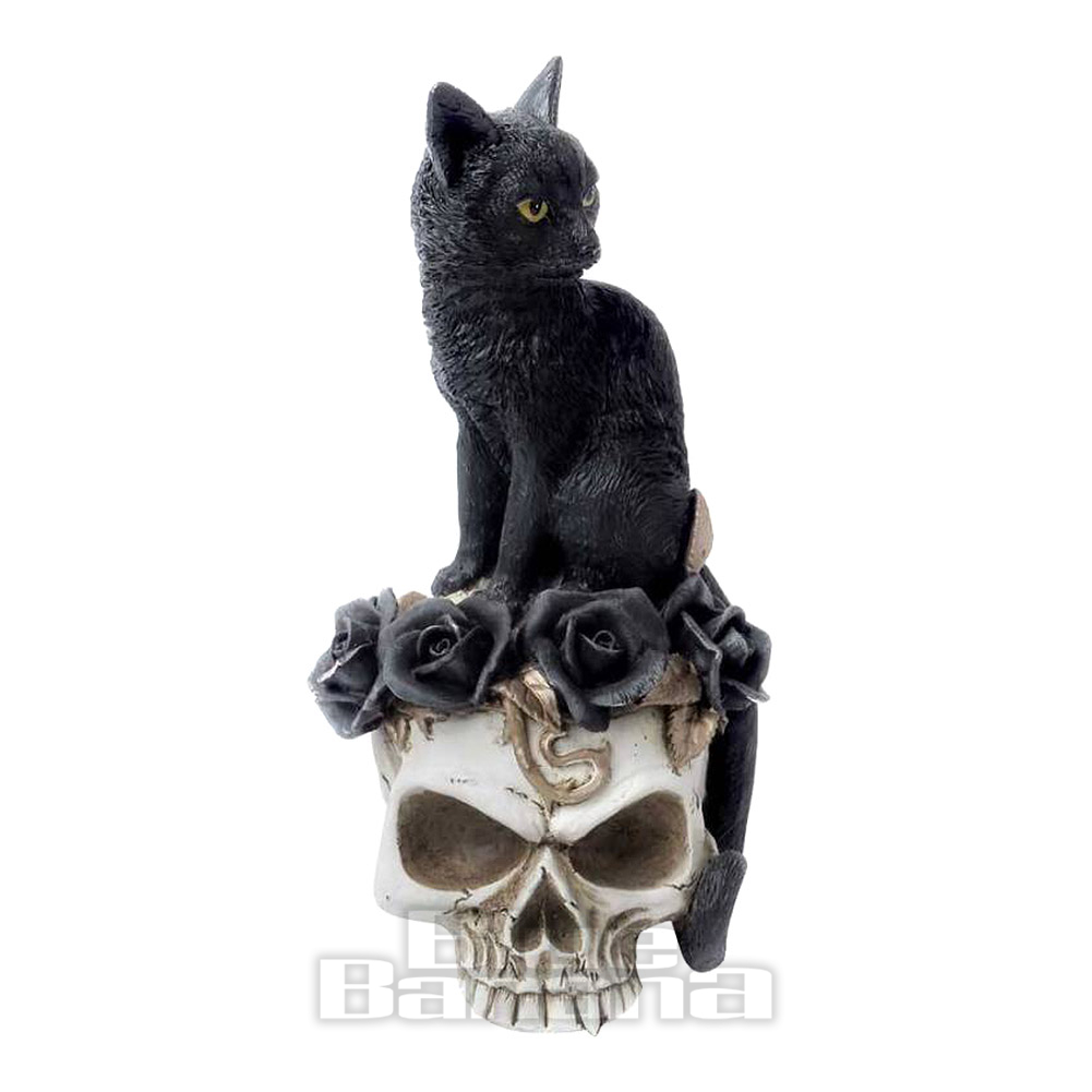 Something Different Wholesale Alchemy Gothic - Estuche Para Lentes Con Diseño De Gato Negro | Carcasa Rígida Para Gafas De Arte Místico Con Paño De Microfibra, Con Licencia Oficial, Removedor De