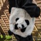 Blue Banana Fluffy Panda Bag (Black/White) | Alternative Accessories