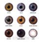 Tri Tone Violet Dawn Coloured Lenses, Natural Purple Daily Contacts