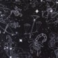 Jawbreaker Sternzeichen-Konstellation Mini Kleid (Schwarz) | Blue Banana