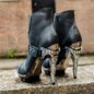New Rock M.Punk003-C1 Boots (Black) | Blue Banana