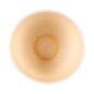 Blue Banana Hair Dye Tint Bowl (Apricot) | Hair Dye Accessories
