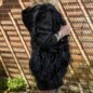 Blue Banana Long Fur Bag (Black) | Alternative Accessories