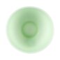 Blue Banana Hair Dye Tint Bowl (Green) | Hair Dye Accessories