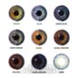 Fusion Blue Tri Tone Farbige 1-Tages-Kontaktlinsen | Natürliche Tageslinsen