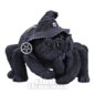 Nemesis Now Arachnias Occult Cutie (8cm) | Blue Banana