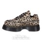 Dr Martens Buzz 5 Lace Mini Shoe (Leopard) | Dr Martens Shoes