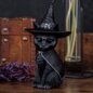Nemesis Now Purrah Figurine | Occult Witches Hat Cat