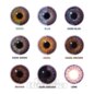 Mystic Tri Tone Violet 30 Tage Farbige Kontaktlinsen